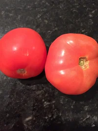 IMG_3139.webp IMG_3139.webp