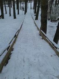 viber imррage.webp