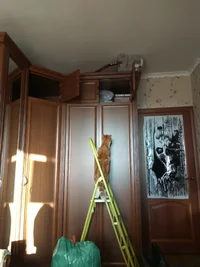 IMG_20161204_125330.webp IMG_20161204_125330.webp