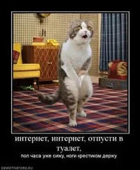 54469_internet-internet-otpusti-v-tualet_thumbnail.webp