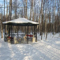 IMG_8315.webp IMG_8315.webp