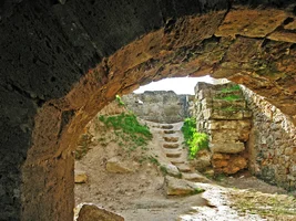 IMG_1777 c copy.webp