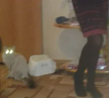 viber imвыывыage — копия.webp