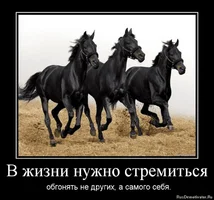 1333361167_3756376756.webp 1333361167_3756376756.webp