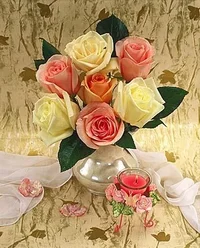 01.webp