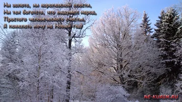 №2 Василий К..webp