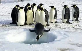 C__Data_Users_DefApps_AppData_INTERNETEXPLORER_Temp_Saved Images_images01XEZPGK.webp