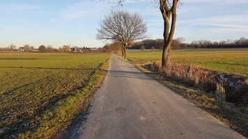 20170120_155545.webp 20170120_155545.webp