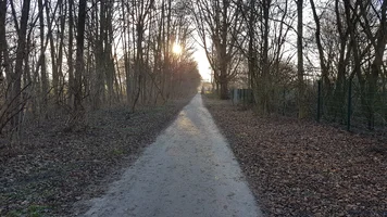 20170120_155037.webp 20170120_155037.webp