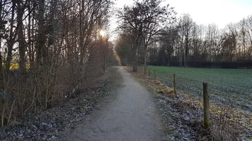 20170120_154942.webp 20170120_154942.webp