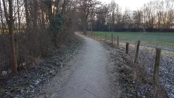 20170120_154934.webp 20170120_154934.webp