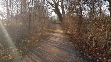 20170120_154859.webp 20170120_154859.webp