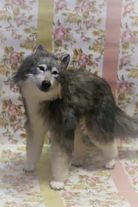 Изображение 025 copy.webp Изображение 025 copy.webp