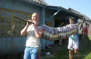 MprtgcuLbKY.webp MprtgcuLbKY.webp