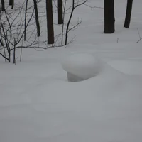 IMG_8585.webp IMG_8585.webp