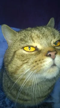 WP_20170127_09_06_19_Pro.webp WP_20170127_09_06_19_Pro.webp