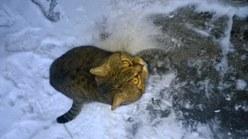 WP_20170127_09_06_15_Pro.webp WP_20170127_09_06_15_Pro.webp