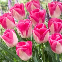 wkxNnjY4bMM.webp wkxNnjY4bMM.webp