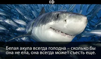 CuojWvPWIAAQ1tE.webp CuojWvPWIAAQ1tE.webp