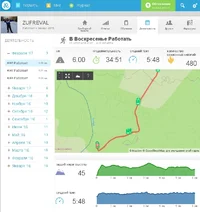 2017-02-05 18-53-42 Запуск активности 6.00 км - на runkeeper — Яндекс.Браузер.webp