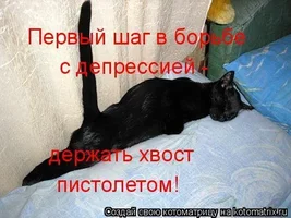 хвост пистолетом.webp