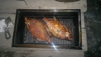 2016-03-19-1054.webp 2016-03-19-1054.webp