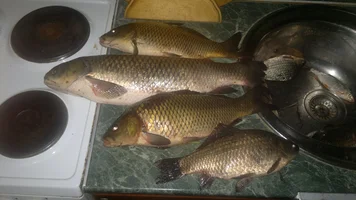 2016-05-01-1090.webp 2016-05-01-1090.webp