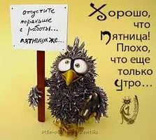 Без названия.webp