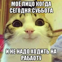 IMG_7950.webp
