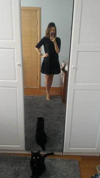 P_20170219_110152.webp P_20170219_110152.webp