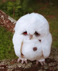 312321_538777842811836_1163836827_n.webp 312321_538777842811836_1163836827_n.webp