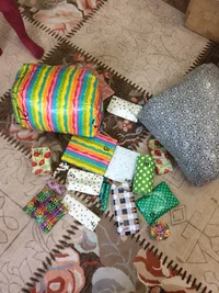 IMG_4061.webp IMG_4061.webp