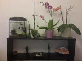 IMG_20170303_170529.webp IMG_20170303_170529.webp