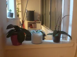 IMG_20170303_185016.webp IMG_20170303_185016.webp