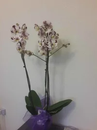 IMG_20170303_170541.webp IMG_20170303_170541.webp