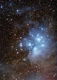 m45m4a_crop_less_green_more_contrast_blured_deconv_0_33x.webp