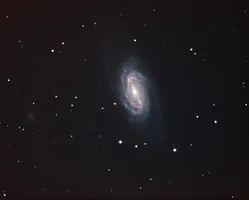 NGC2903b.webp