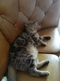 YxhxMzu3-TU.webp YxhxMzu3-TU.webp