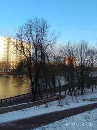 IMG_20170325_070623.webp IMG_20170325_070623.webp