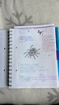 20170327_144853.webp 20170327_144853.webp