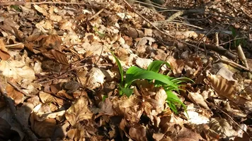 20170326_171731.webp 20170326_171731.webp