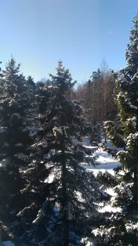 P_20170329_085849.webp P_20170329_085849.webp