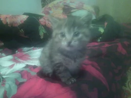 IMG_20170324_194548.webp IMG_20170324_194548.webp