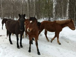 2017-03-29 16-46-09.webp