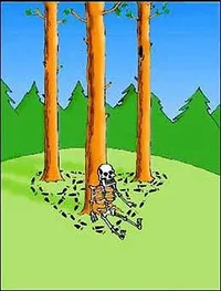 143615885.webp 143615885.webp