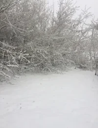 Screenshot_33.webp Screenshot_33.webp