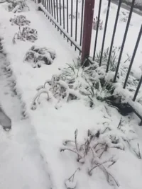 Screenshot_34.webp Screenshot_34.webp