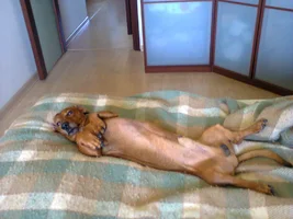 фото0106.webp фото0106.webp