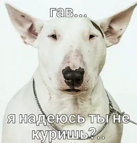 photo 263 11-35-57.webp