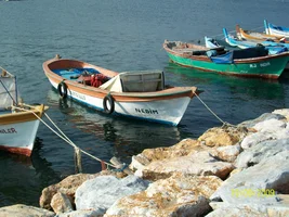 Изображение 184.webp